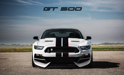 Jhonconnor S Deviantart Gallery Jhonconnor 8 0 2018 Ford Mustang Gt500 Alternative By