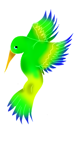 Humming Bird 