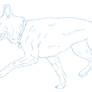 German Shepherd Lineart F.