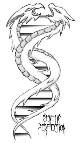 Genetic Construct Deviantart Genetic Perfection by Coloursfall on DeviantArt