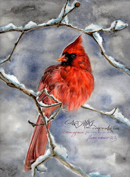 CARDINAL