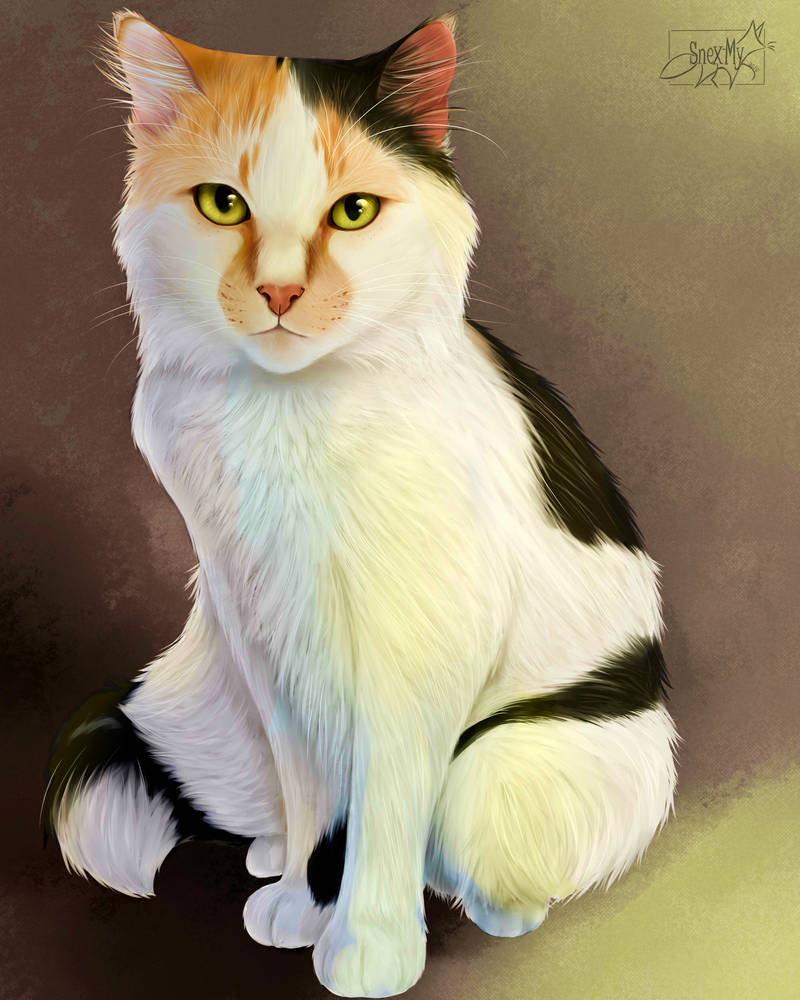 .: Cat Realistic by SnexMy .: Cat Realistic by SnexMy