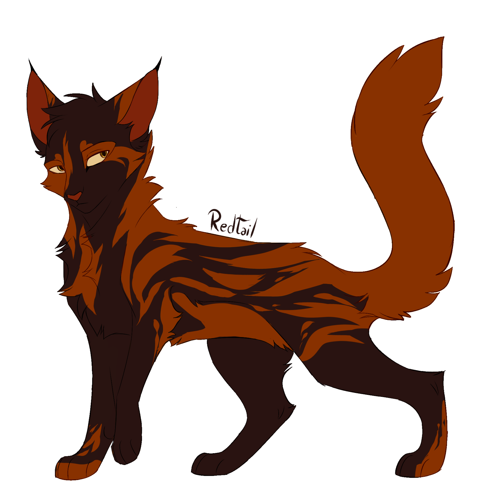 Redtail Warrior Cats by SnexMy on DeviantArt