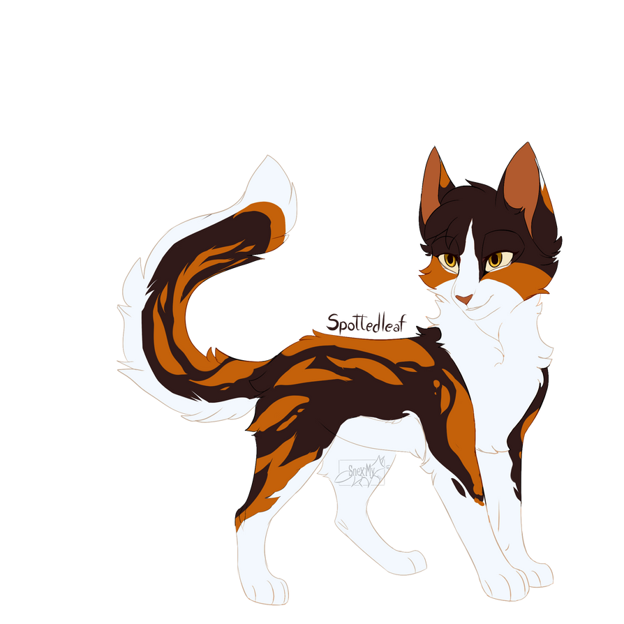 Spottedleaf Wc Spottedleaf - Warrior Cats by SnexMy on DeviantArt