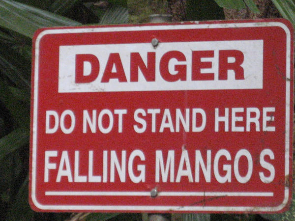 Mango Sign by Sporemaster on DeviantArt