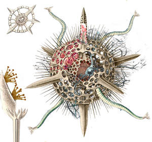 voracious Radialbreat parts xplosion