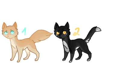 Cat Adopts | 2/2 OPEN