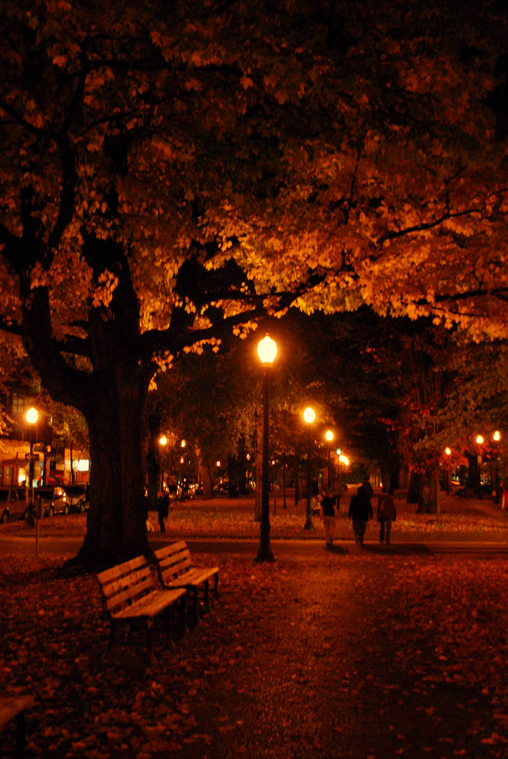 Storybook Tree at Night