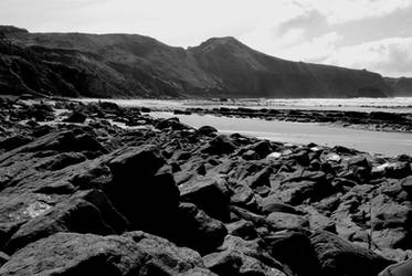 Rocky Shore of Newport