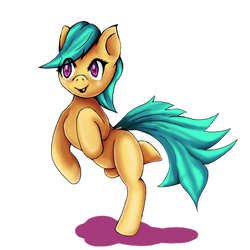 random pony 2