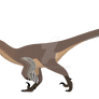 Velociraptor mongoliensis