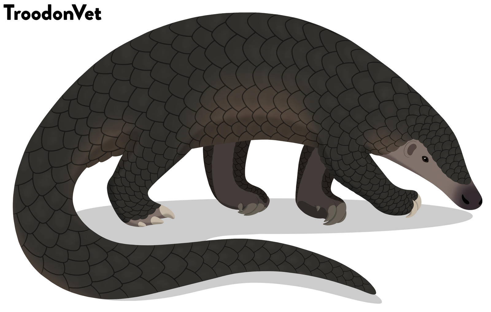 Indonesian Fauna Manis javanica by TroodonVet on DeviantArt