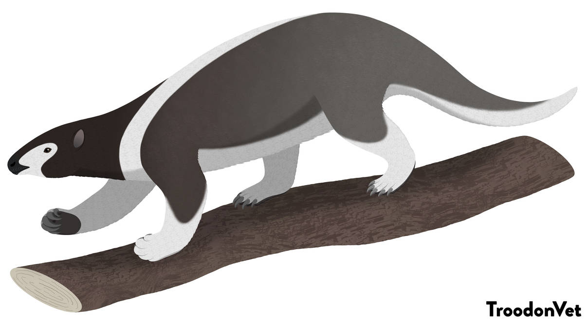 Haplops Extinct American Fauna: Hapalops longiceps by TroodonVet on DeviantArt