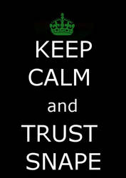 Keep Calm and Trust Snape by deylyn