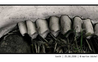 .:.teeth.:.