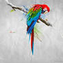I love colors