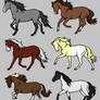Horse Adopts [2/6]