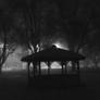 Foggy Phone Pic With Gazebo