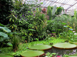Botanic Garden 24