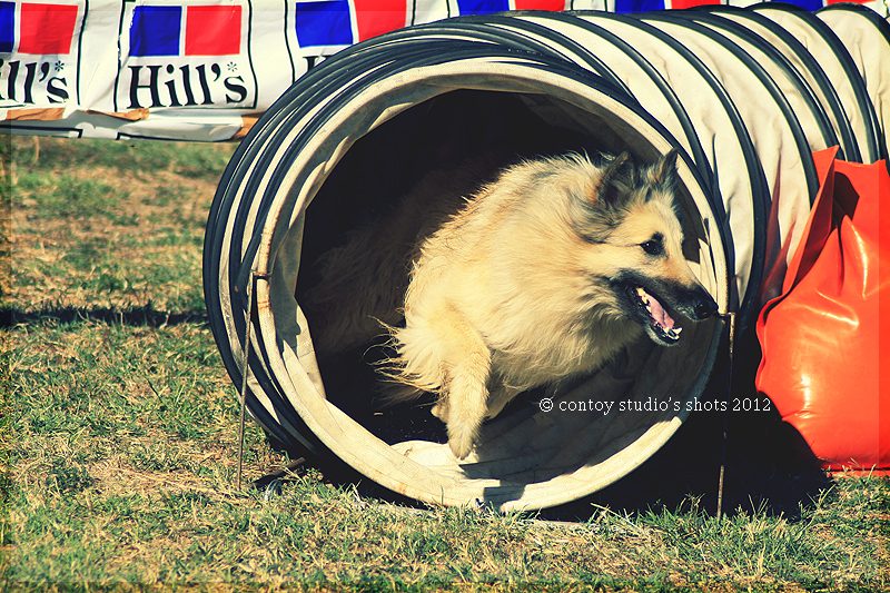 Belgian out of Tunnel