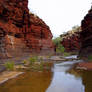 red karijini