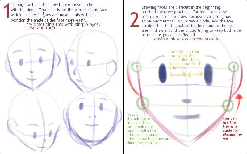 drawing basic -face proportion