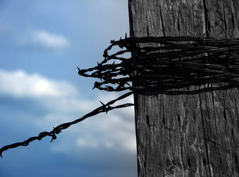 Barbed Wire