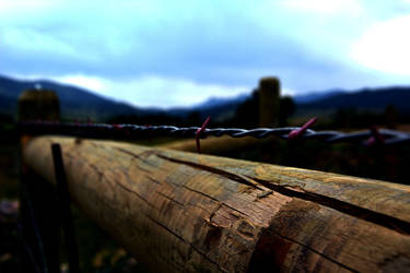 Barbed Wire (2)