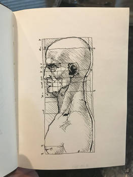 Face proportion sketch