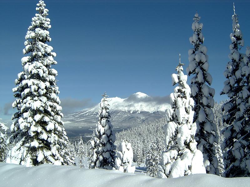 Frozen Mountain