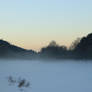 Fog Rising In The Meadow 