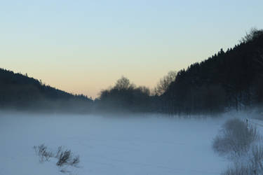 Fog Rising In The Meadow 