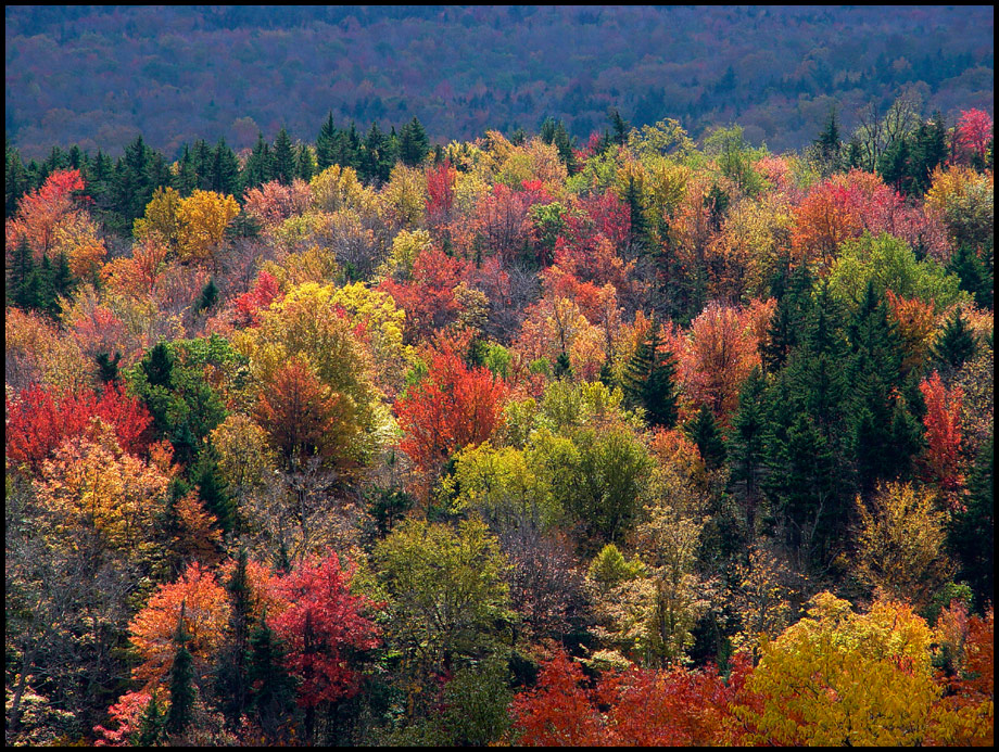 Fall in Vermont