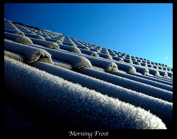 Morning Frost