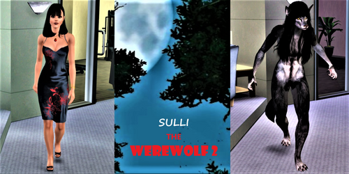 Sulli:  THE WEREWOLF 2