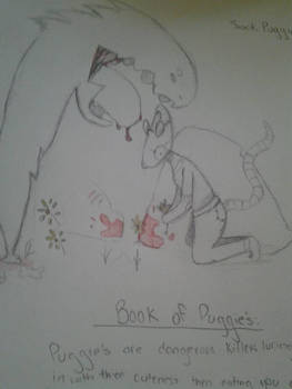 Book of puggies