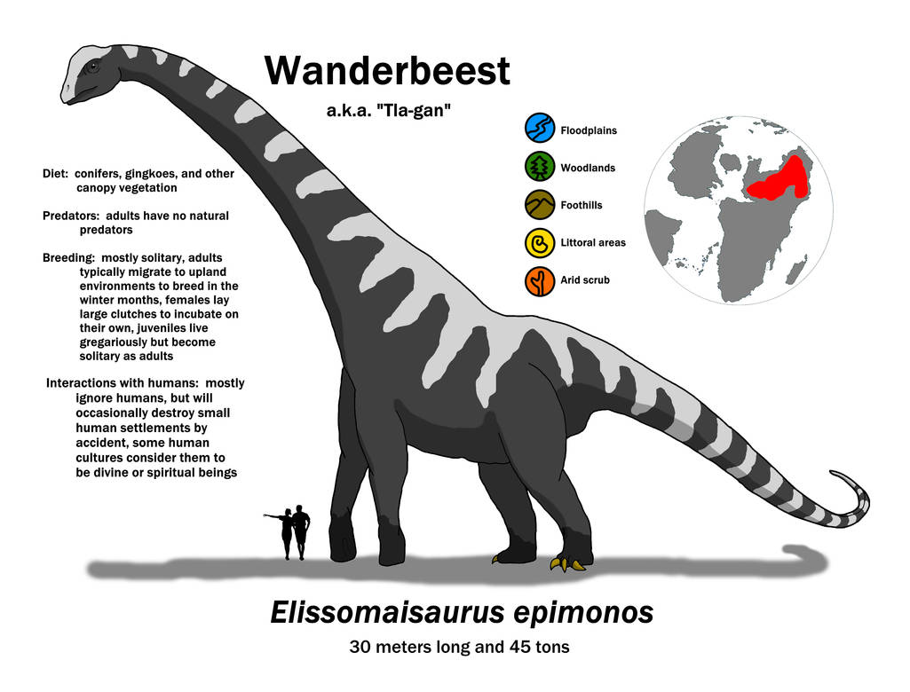 Elissomaisaurus