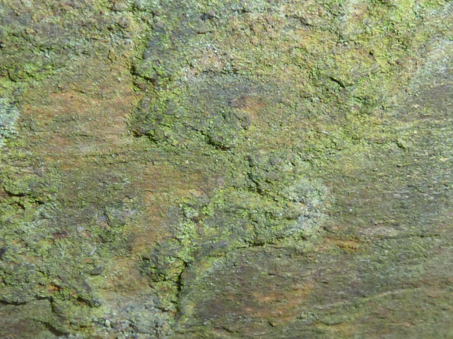 Carbuncle Texture Texture 5 by rebeccaluke on DeviantArt