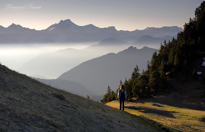 Morning hike...