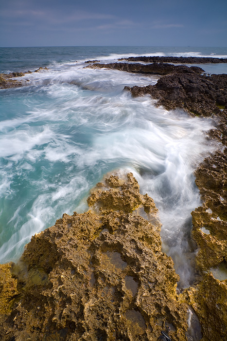 Mediterranee...