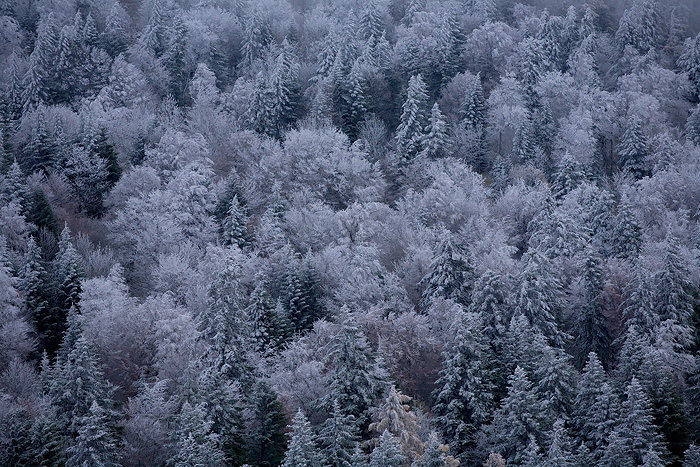 Frost at Croix-Haute pass...