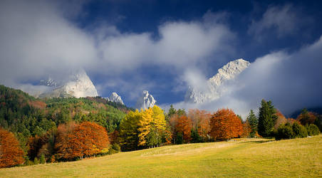 Colors of fall