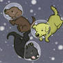 LABS IN SPACE