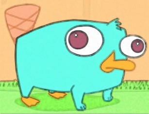 Perry The Baby Platypus Meme 1 Hd Wallpaper 4k Free Perry The Baby Platypus Meme 1 Hd Wallpaper 4k Free