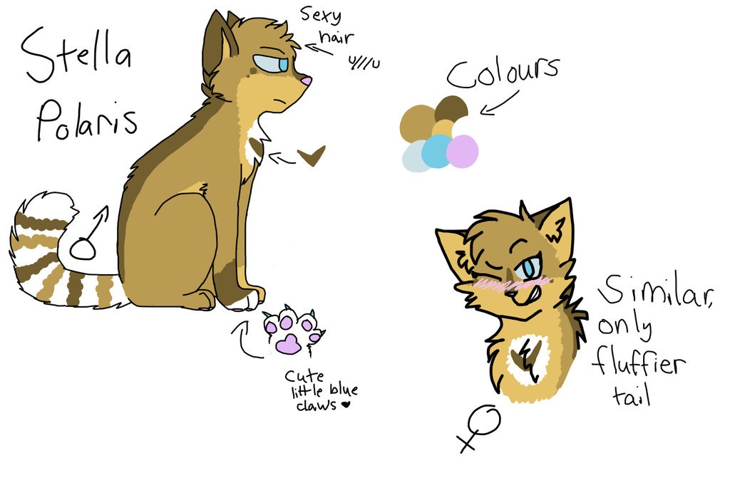 Stella Polaris reference sheet