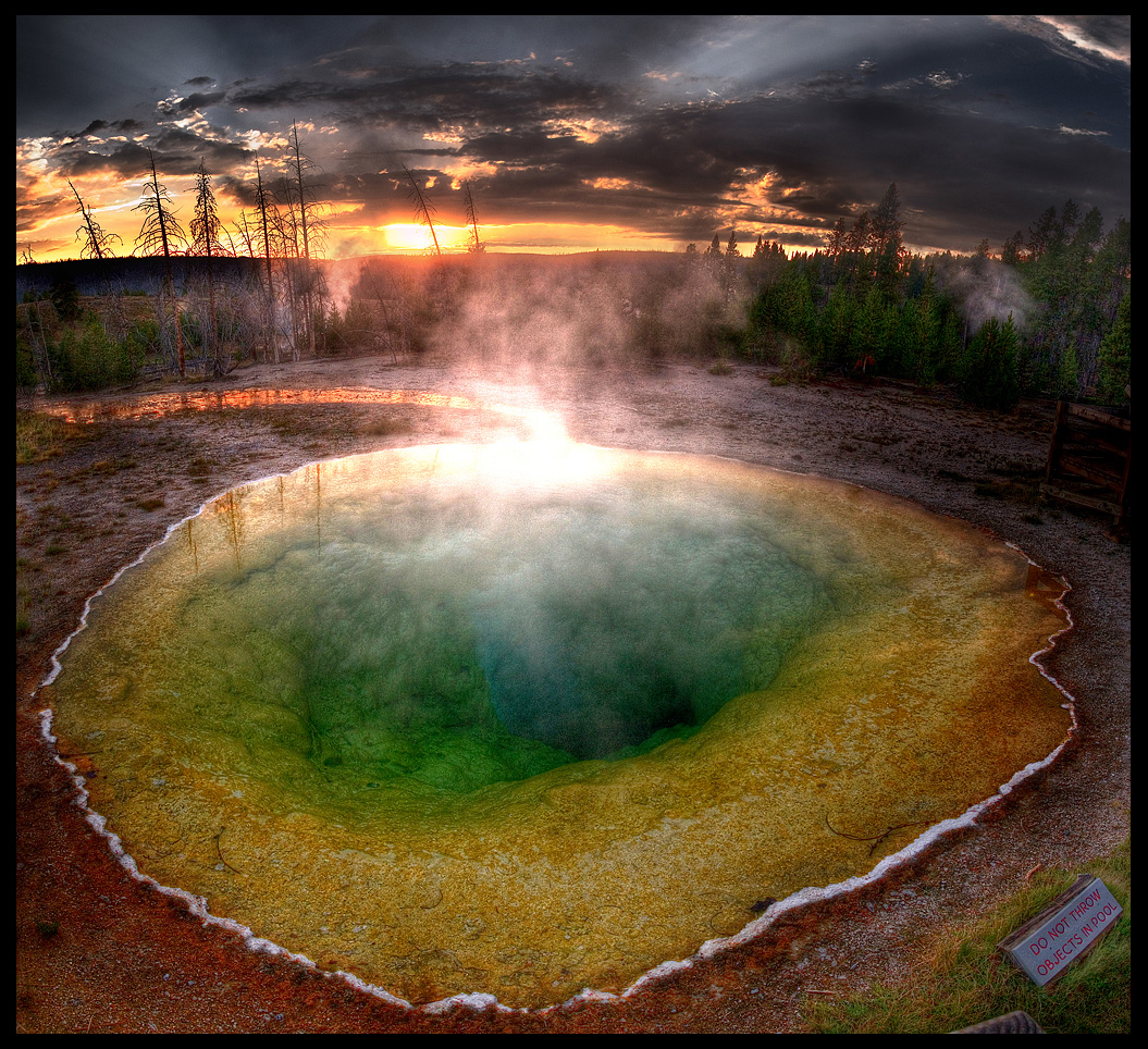 Yellowstone 8