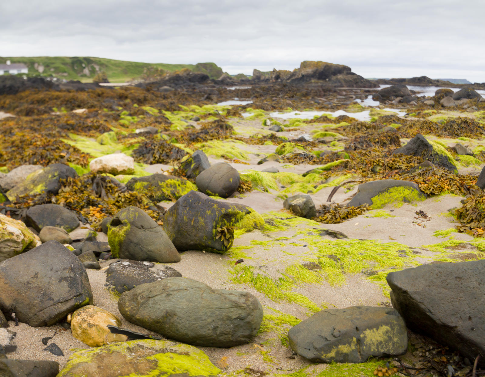 Ballintoy Harbor Beach
