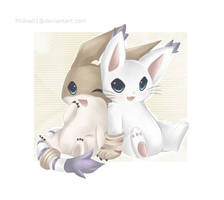 Gatomon x Patamon