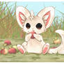 Chiramii likes apples