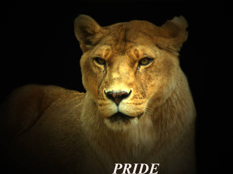 Pride